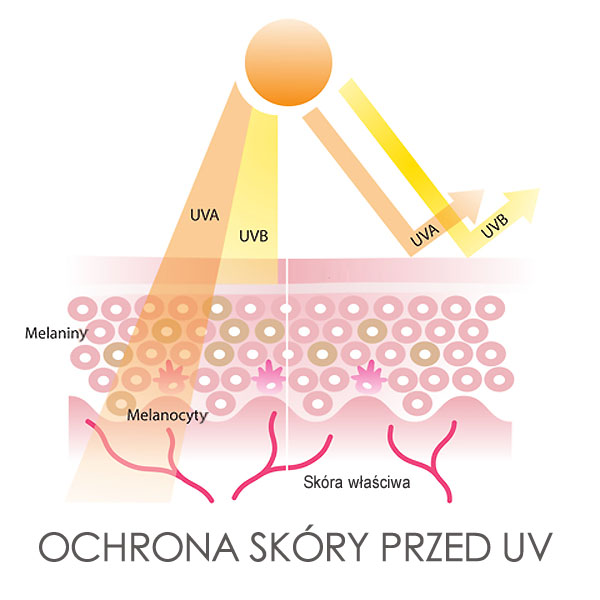 Ochrona skóry przed promieniowaniem UV